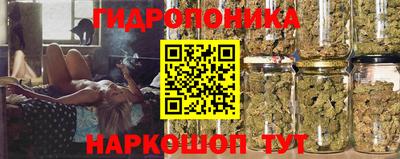 соль ск Бийск